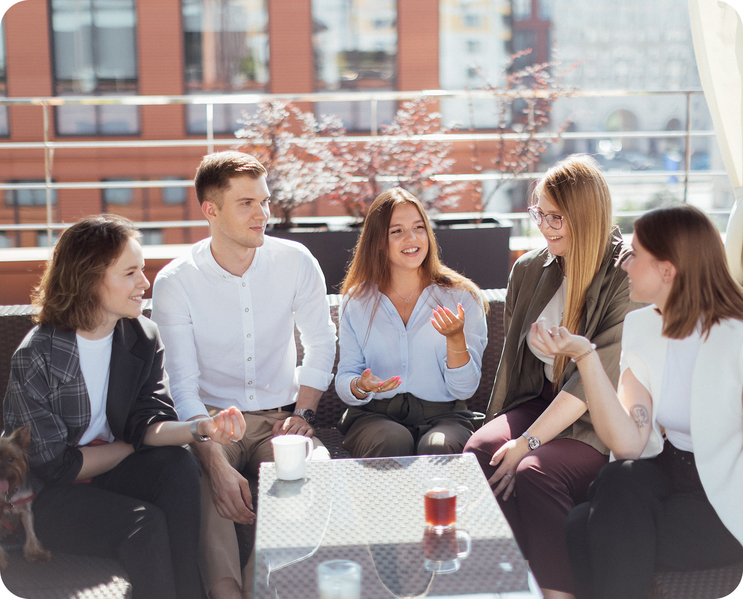 Mars Internship Experience Program